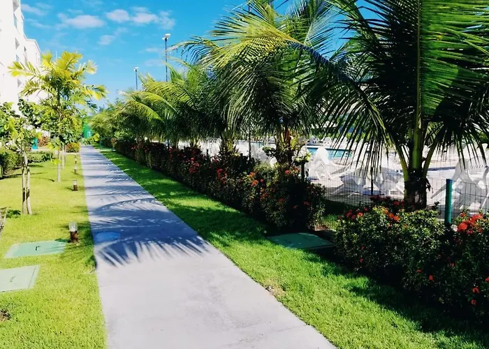 Palm Village Acqua